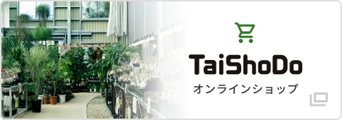 TaiShoDoオンラインショップ