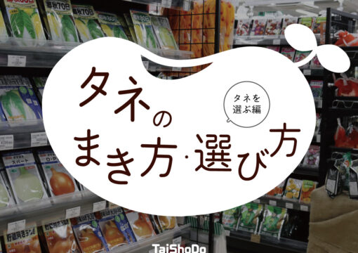 タネのまき方・選び方 タネを選ぶ編