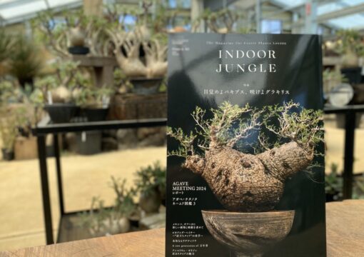 雑誌『INDOOR JUNGLE』Issue.03 で紹介されました！