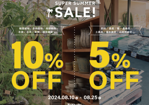 SUPER SUMMER SALE 始まります！