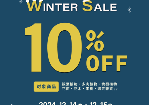 Winter Sale開催！｜12/14~
