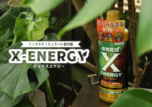 植物をいつも元気に！BS活力液『X-ENERGY』