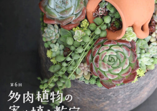 第6回 多肉植物の寄せ植え教室 開催！