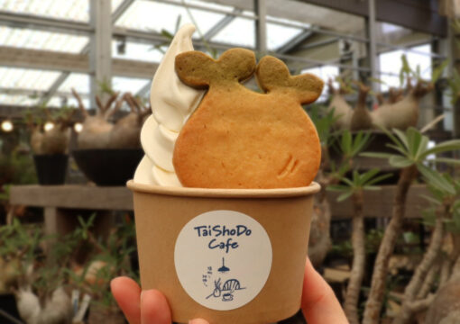 TaiShoDo Cafeに、新メニュー誕生！