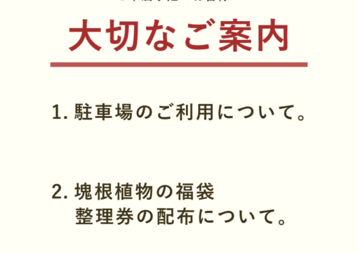 TaiShoDoの夏祭り_大切なご案内